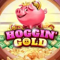 LIONG88 - Hoggin Gold | liong88