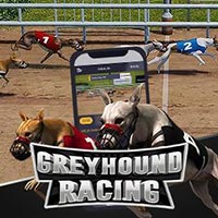 LIONG88 - Greyhound Racing | slot online liong88
