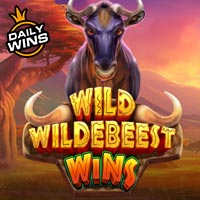 LIONG88 - Wild Wildebeest Wins | slot online liong88