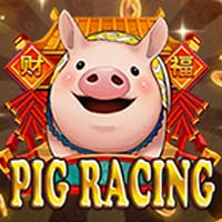 LIONG88 - Pig Race | slot online liong88