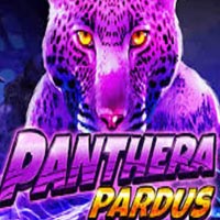 LIONG88 - Panthera Pardus | liong88